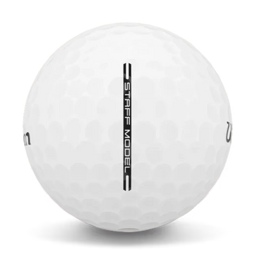 Wilson Staff Model